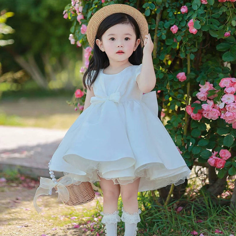 49073097081152|49073097146688|49073097212224|49073097277760|49073097408832|49073097507136|49073097539904|49073097572672